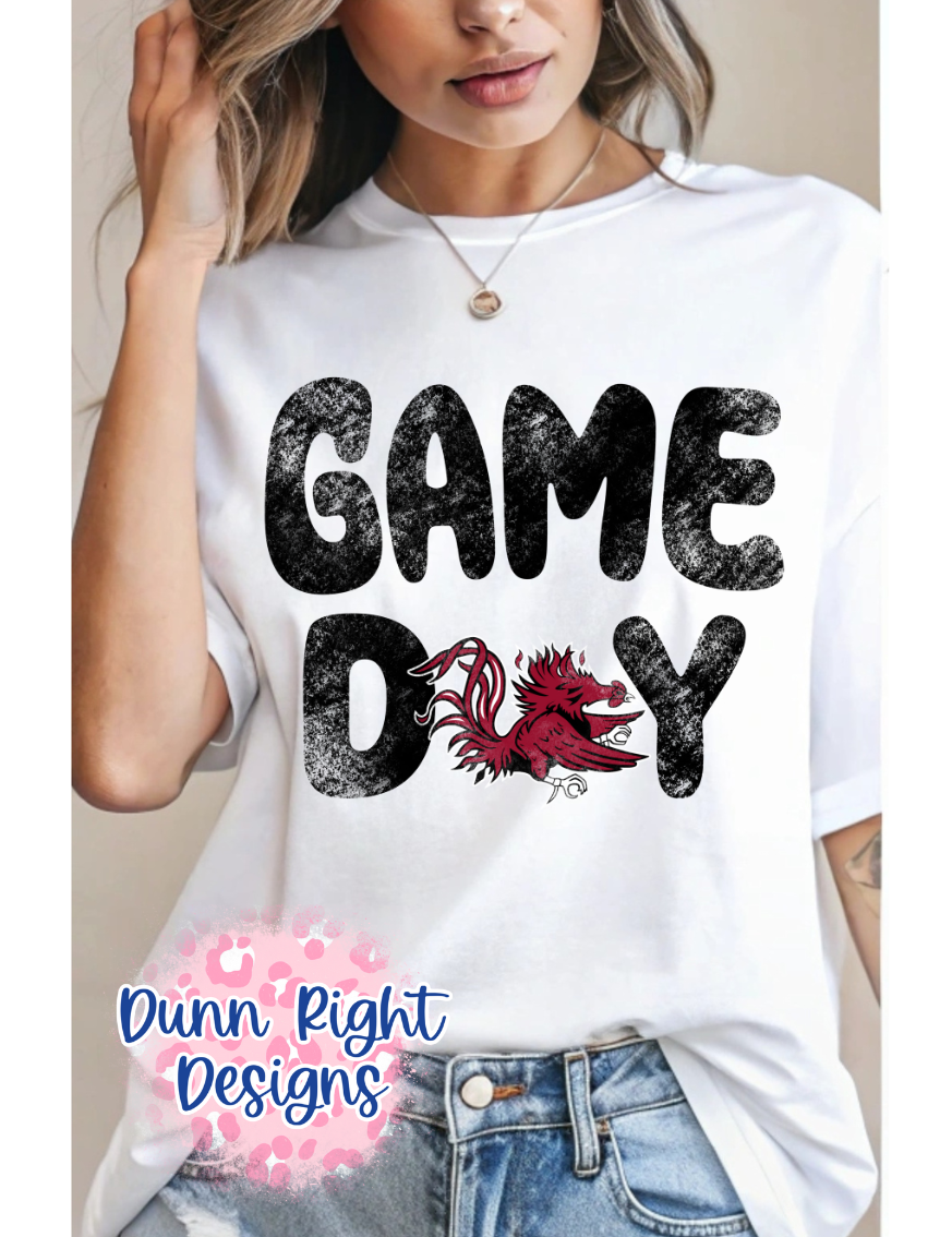 USC Gamecocks Game Day