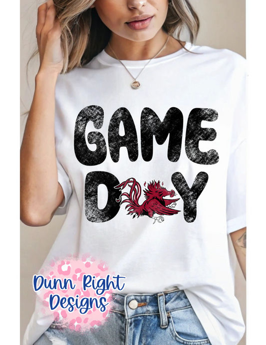 USC Gamecocks Game Day
